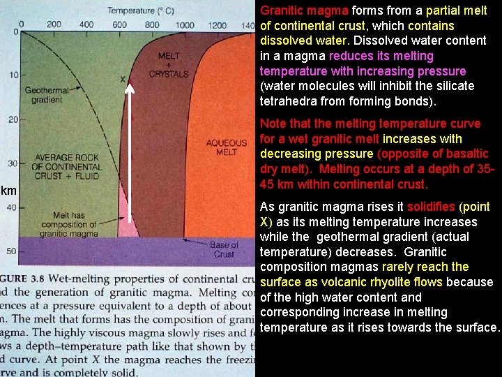 Granitic magma forms from a partial melt of continental crust, which contains dissolved water.