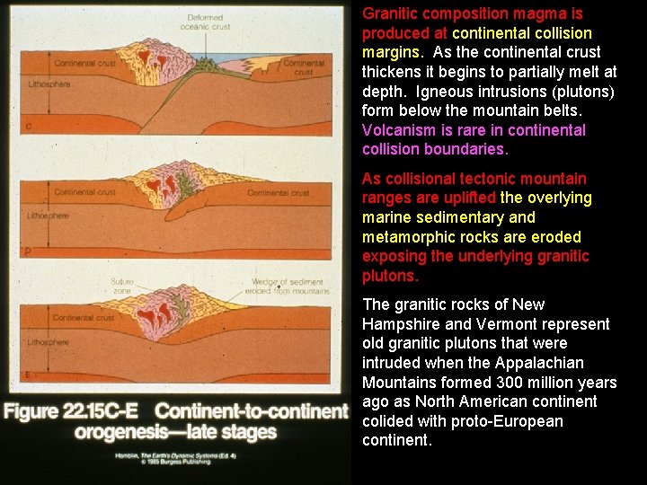 Granitic composition magma is produced at continental collision margins. As the continental crust thickens