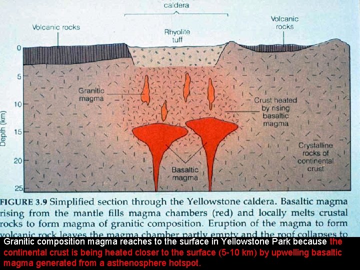 Granitic composition magma reaches to the surface in Yellowstone Park because the continental crust