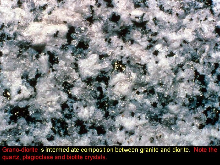 Grano-diorite is intermediate composition between granite and diorite. Note the quartz, plagioclase and biotite