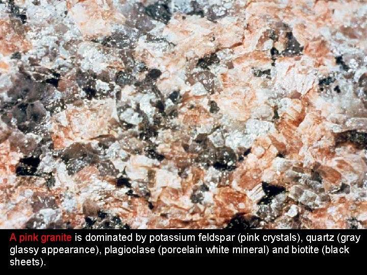 A pink granite is dominated by potassium feldspar (pink crystals), quartz (gray glassy appearance),