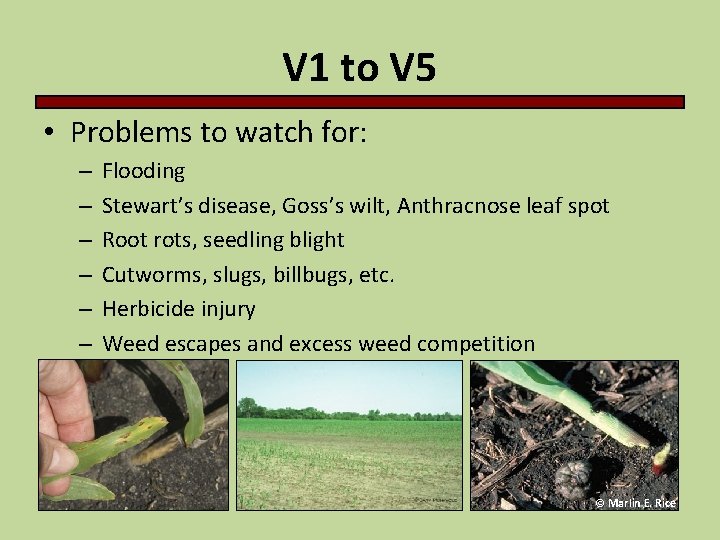 V 1 to V 5 • Problems to watch for: – – – Flooding