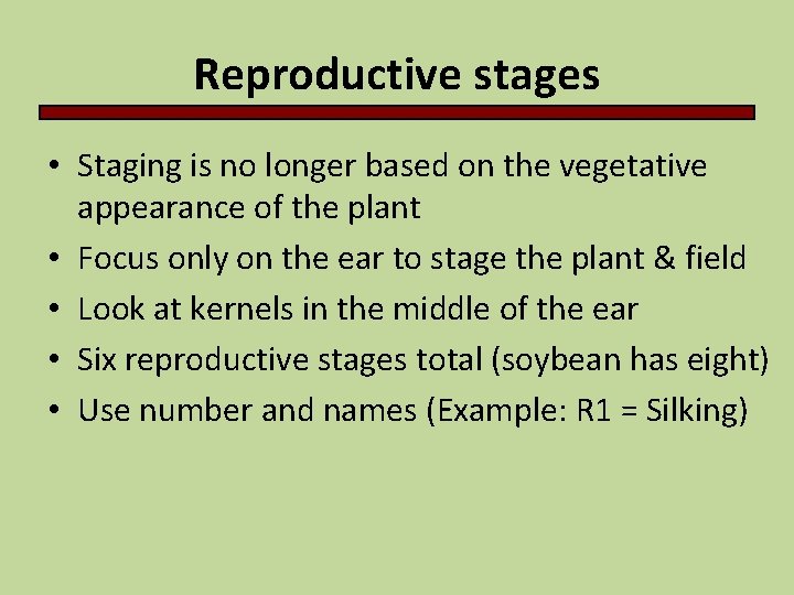 Reproductive stages • Staging is no longer based on the vegetative appearance of the