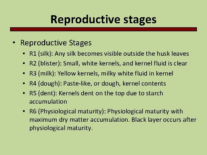 Reproductive stages • Reproductive Stages R 1 (silk): Any silk becomes visible outside the