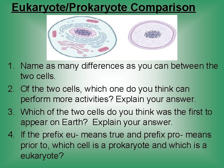 Eukaryote/Prokaryote Comparison 1. Name as many differences as you can between the two cells.