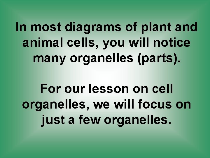 In most diagrams of plant and animal cells, you will notice many organelles (parts).