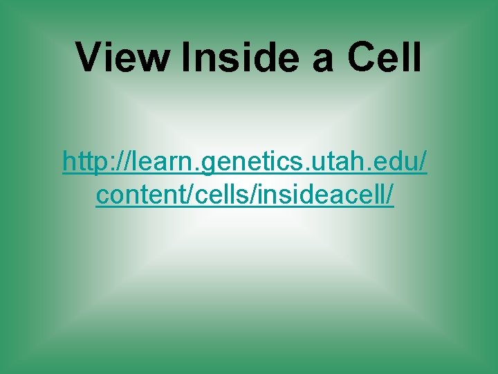 View Inside a Cell http: //learn. genetics. utah. edu/ content/cells/insideacell/ 