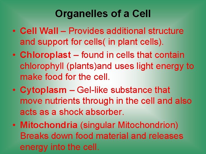 Organelles of a Cell • Cell Wall – Provides additional structure and support for
