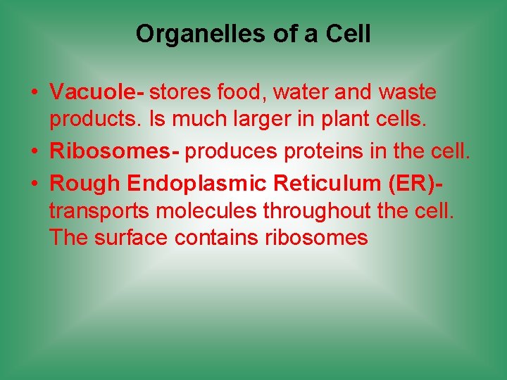 Organelles of a Cell • Vacuole- stores food, water and waste products. Is much