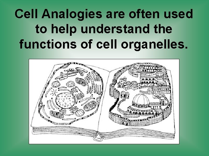 Cell Analogies are often used to help understand the functions of cell organelles. 