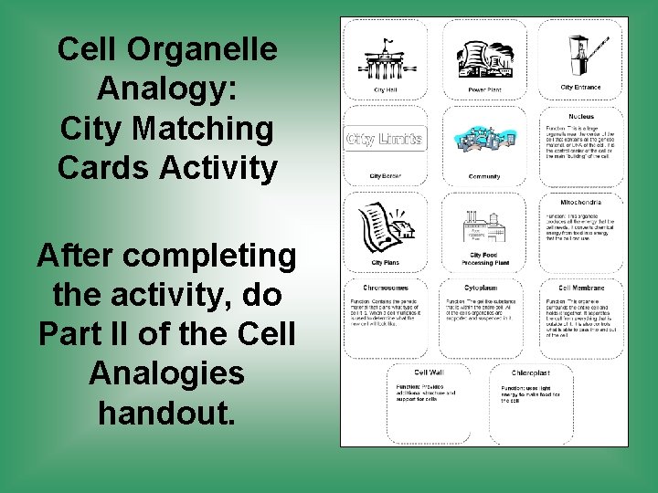 Cell Organelle Analogy: City Matching Cards Activity After completing the activity, do Part II