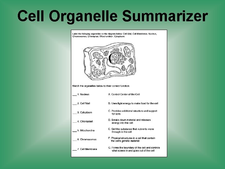 Cell Organelle Summarizer 
