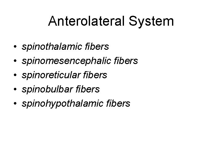 Anterolateral System • • • spinothalamic fibers spinomesencephalic fibers spinoreticular fibers spinobulbar fibers spinohypothalamic