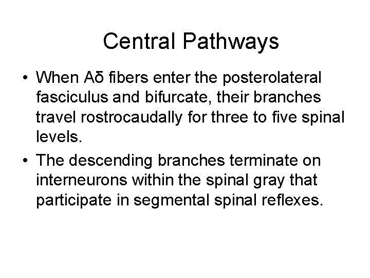 Central Pathways • When Aδ fibers enter the posterolateral fasciculus and bifurcate, their branches