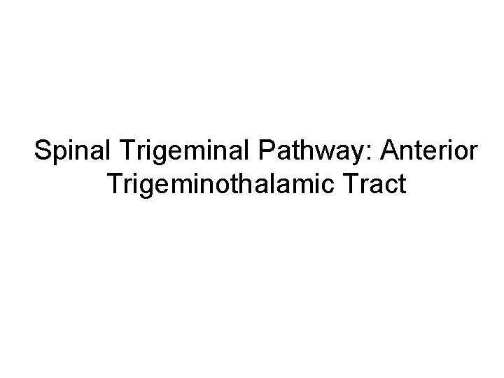 Spinal Trigeminal Pathway: Anterior Trigeminothalamic Tract 