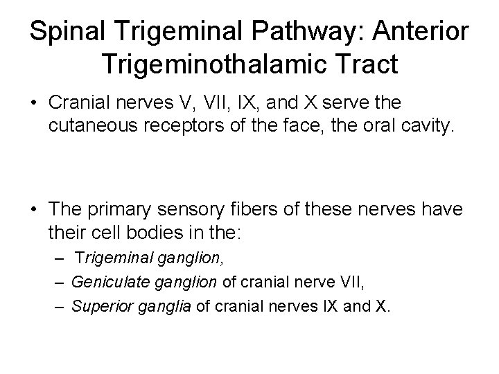Spinal Trigeminal Pathway: Anterior Trigeminothalamic Tract • Cranial nerves V, VII, IX, and X