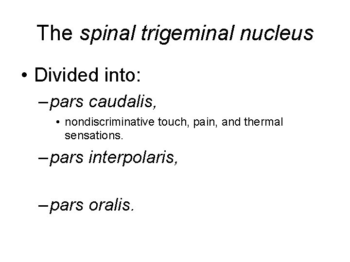 The spinal trigeminal nucleus • Divided into: – pars caudalis, • nondiscriminative touch, pain,