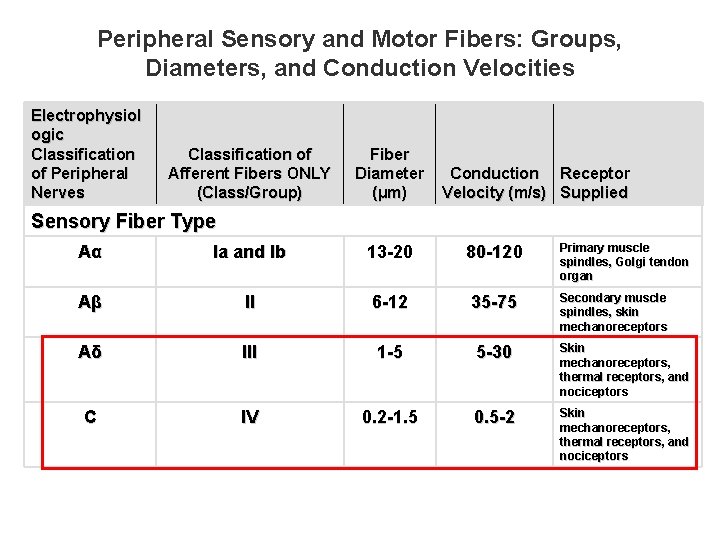 Peripheral Sensory and Motor Fibers: Groups, Diameters, and Conduction Velocities Electrophysiol ogic Classification of