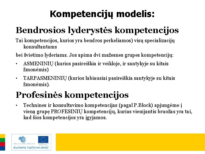 Kompetencijų modelis: Bendrosios lyderystės kompetencijos Tai kompetencijos, kurios yra bendros perkeliamos) visų specializacijų konsultantams