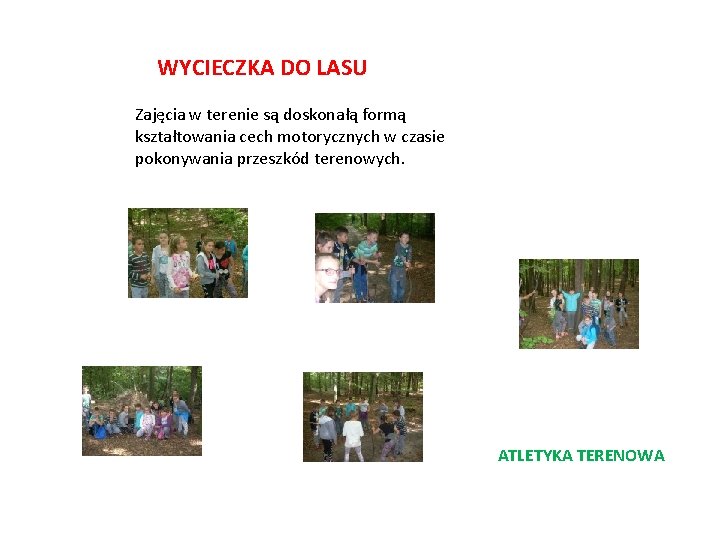 WYCIECZKA DO LASU Zajęcia w terenie są doskonałą formą kształtowania cech motorycznych w czasie