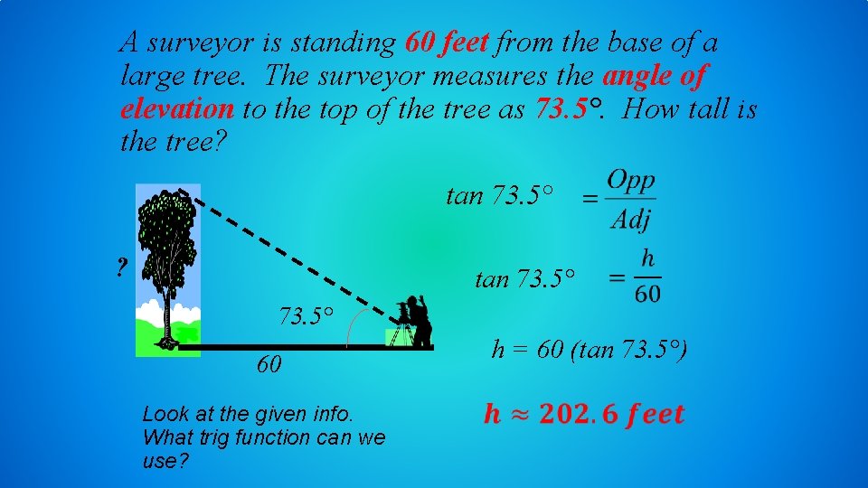 A surveyor is standing 60 feet from the base of a large tree. The