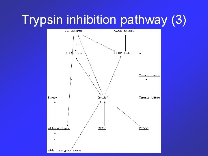 Trypsin inhibition pathway (3) 