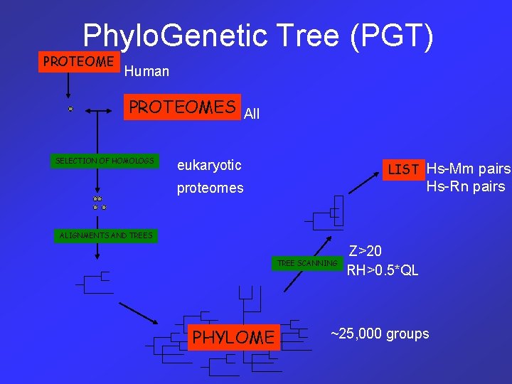 Phylo. Genetic Tree (PGT) PROTEOME Human PROTEOMES All SELECTION OF HOMOLOGS eukaryotic LIST Hs-Mm