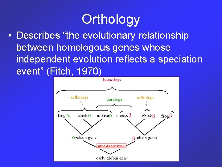 Orthology • Describes “the evolutionary relationship between homologous genes whose independent evolution reflects a