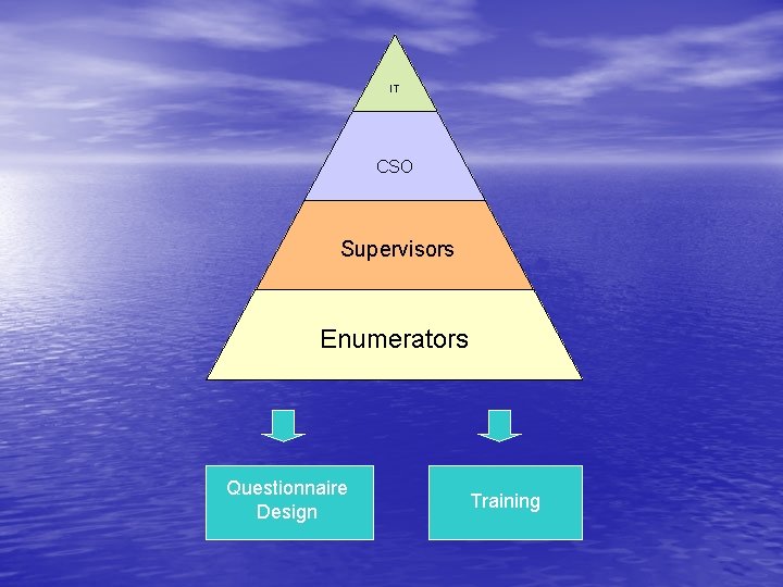 IT CSO Supervisors Enumerators Questionnaire Design Training 