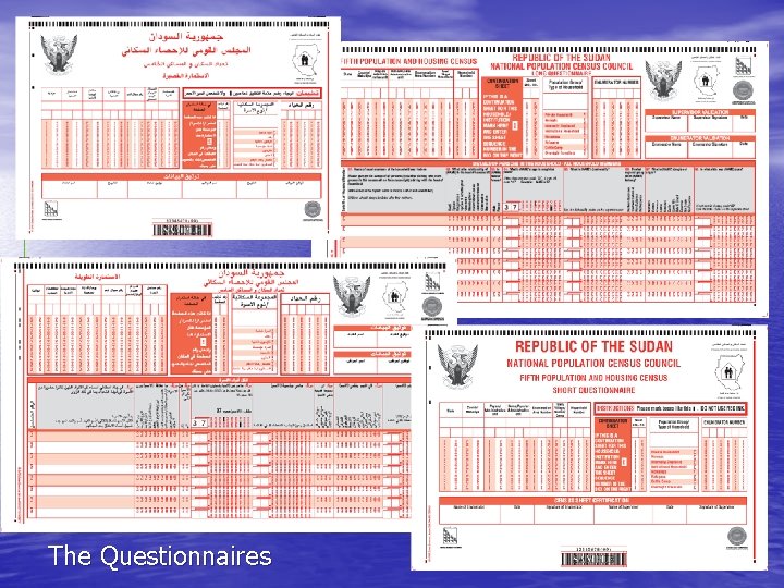 The Questionnaires 