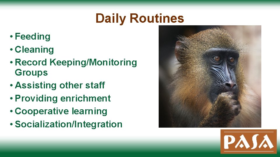 Daily Routines • Feeding • Cleaning • Record Keeping/Monitoring Groups • Assisting other staff