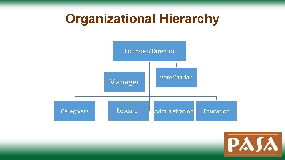 Organizational Hierarchy Founder/Director Manager Caregivers Research Veterinarian Administration Education 