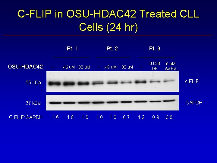 Preclinical Studies With Osuhdac 42 A New Orally
