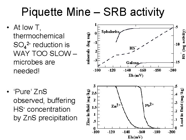Piquette Mine – SRB activity • At low T, thermochemical SO 42 - reduction