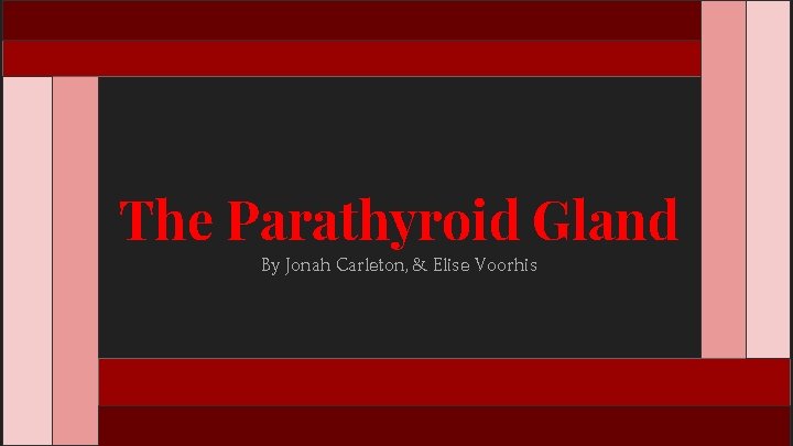 The Parathyroid Gland By Jonah Carleton, & Elise Voorhis 