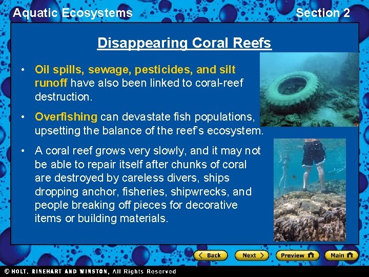 Aquatic Ecosystems Disappearing Coral Reefs • Oil spills, sewage, pesticides, and silt runoff have