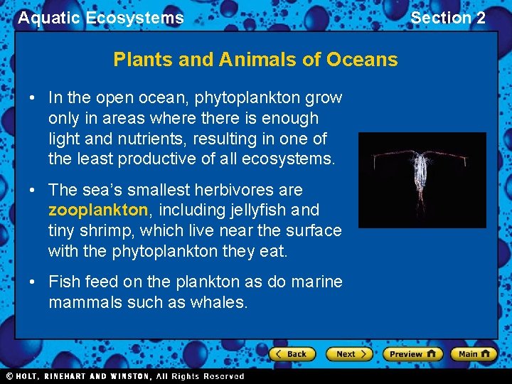 Aquatic Ecosystems Plants and Animals of Oceans • In the open ocean, phytoplankton grow