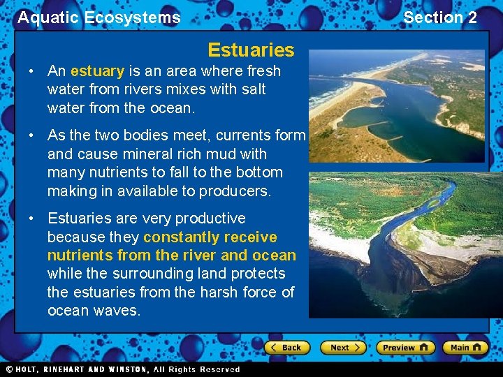 Aquatic Ecosystems Section 2 Estuaries • An estuary is an area where fresh water