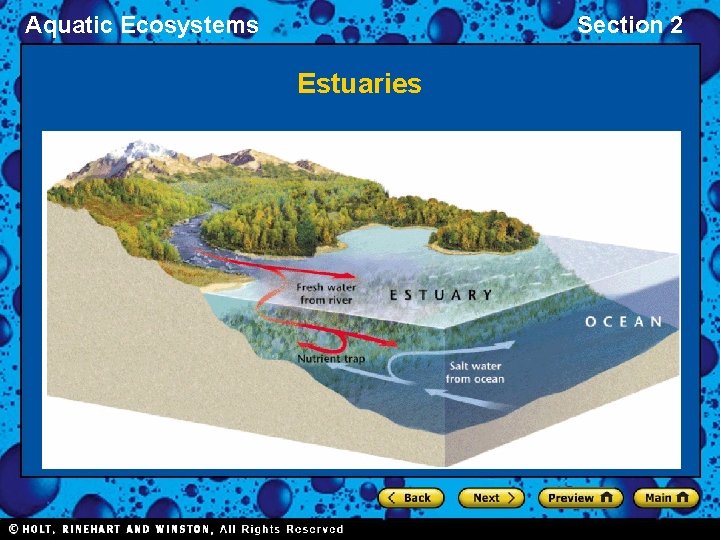 Aquatic Ecosystems Section 2 Estuaries 