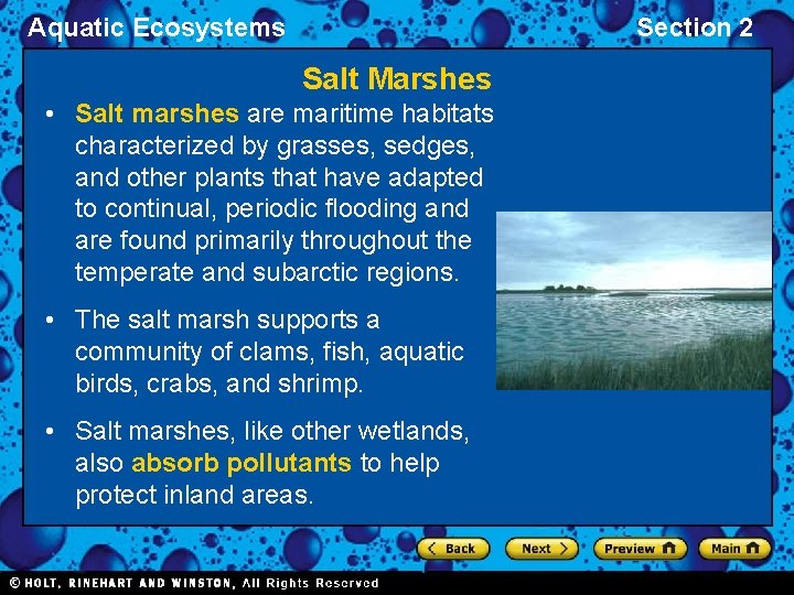 Aquatic Ecosystems Section 2 Salt Marshes • Salt marshes are maritime habitats characterized by