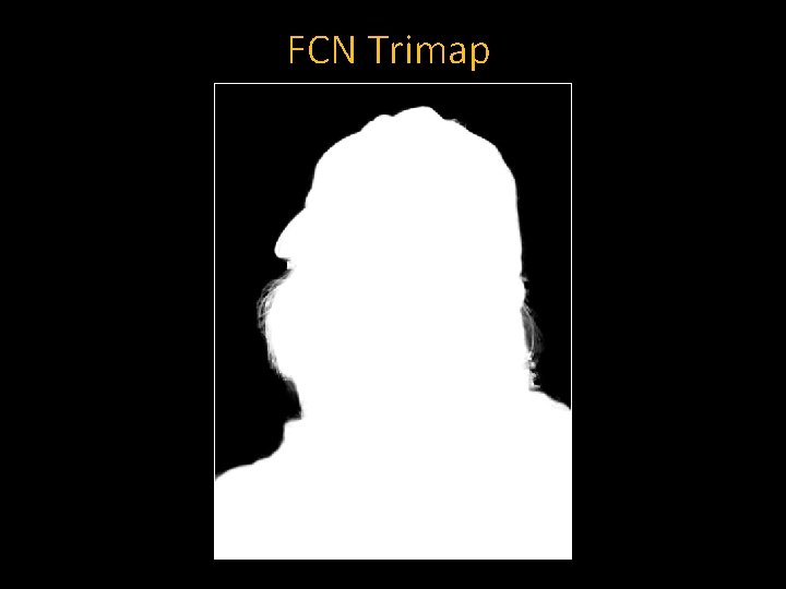 FCN Trimap 