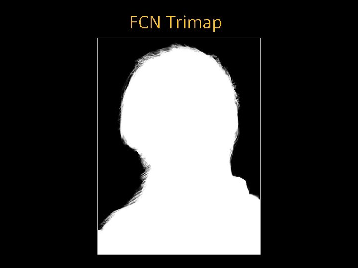 FCN Trimap 