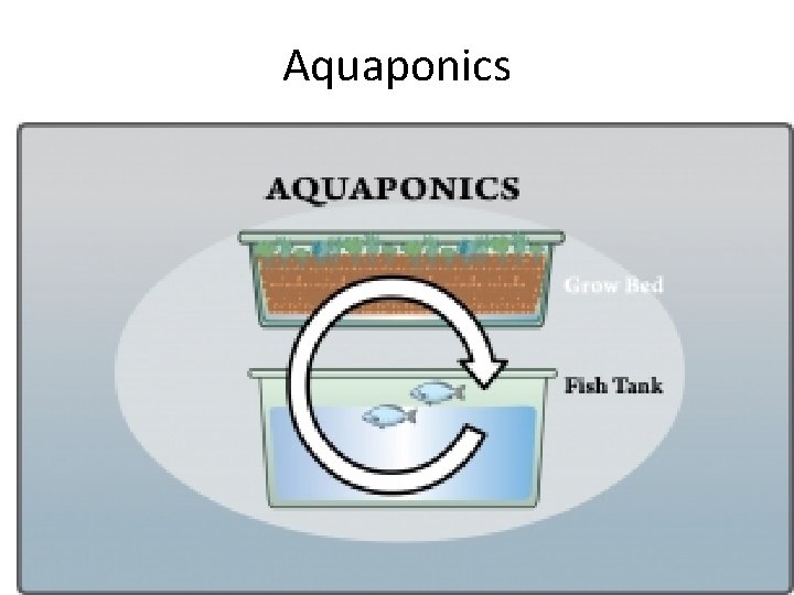 Aquaponics Aquaponics