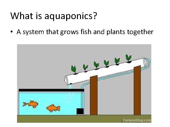 What is aquaponics? • A system that grows fish and plants together What is aquaponics? • A system that grows fish and plants together