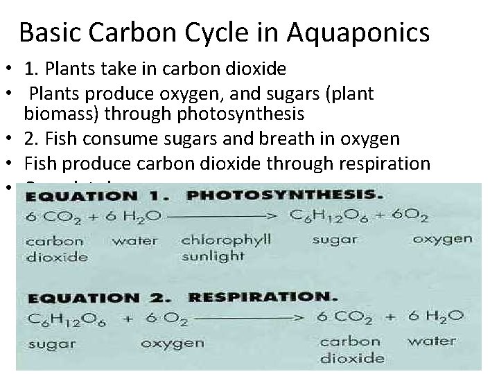 Basic Carbon Cycle in Aquaponics • 1. Plants take in carbon dioxide • Plants Basic Carbon Cycle in Aquaponics • 1. Plants take in carbon dioxide • Plants