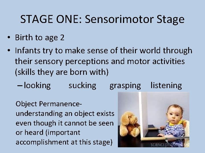 STAGE ONE: Sensorimotor Stage • Birth to age 2 • Infants try to make