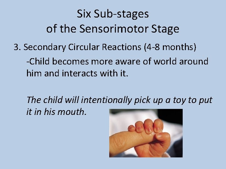 Six Sub-stages of the Sensorimotor Stage 3. Secondary Circular Reactions (4 -8 months) -Child