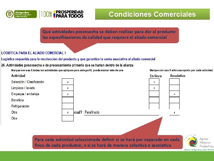 Condiciones Comerciales Qué actividades poscosecha se deben realizar para dar al producto las especificaciones