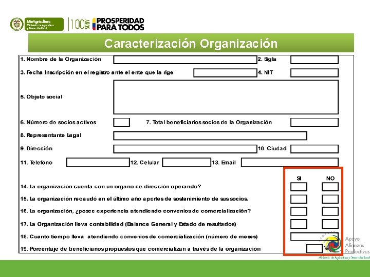 Caracterización Organización 