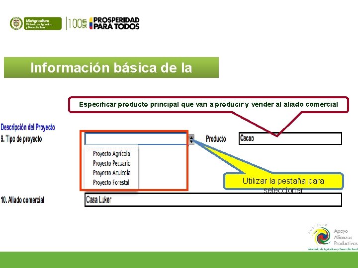 Información básica de la propuesta Especificar producto principal que van a producir y vender